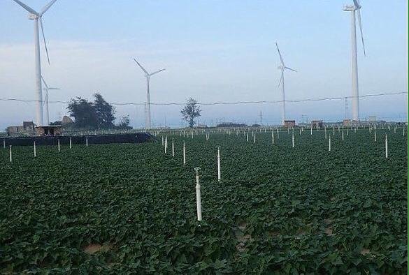 白富美养成记游戏,白富美养成手册