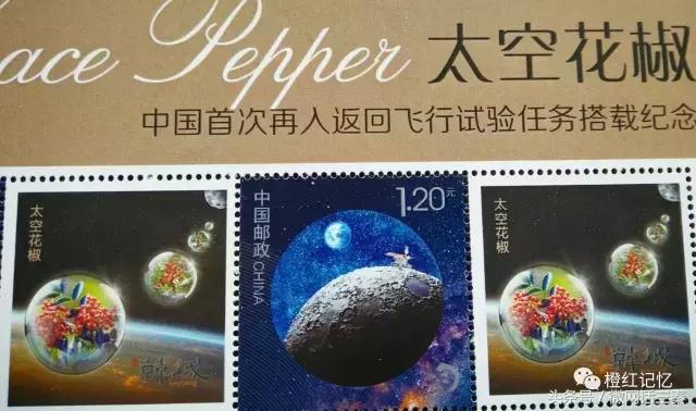 韩城花椒历史文化 (韩城花椒最多的地方是哪里)