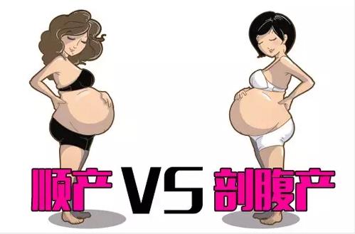 剖腹产的清淡饮食,产后饮食和月子餐