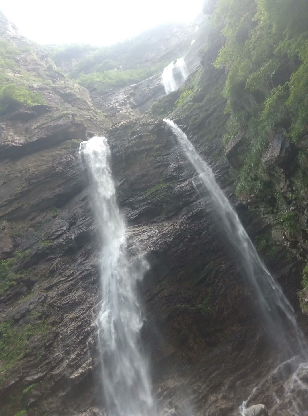 庐山的云海作文,庐山的云海翻腾