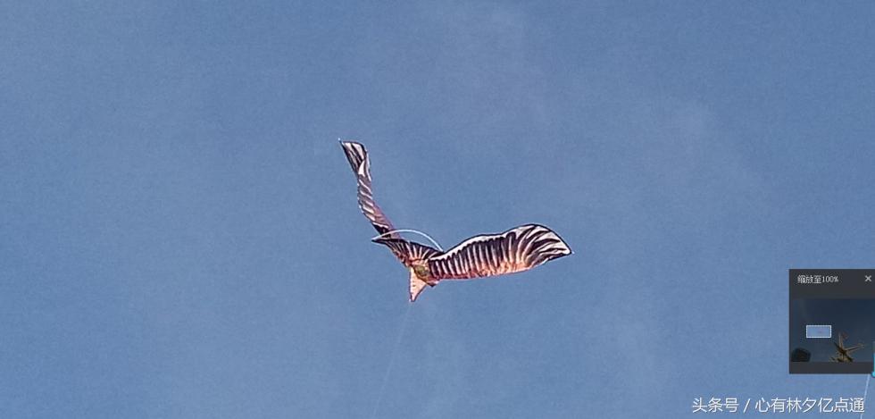 1600万全景摄像头,1600万前置摄像头好用吗