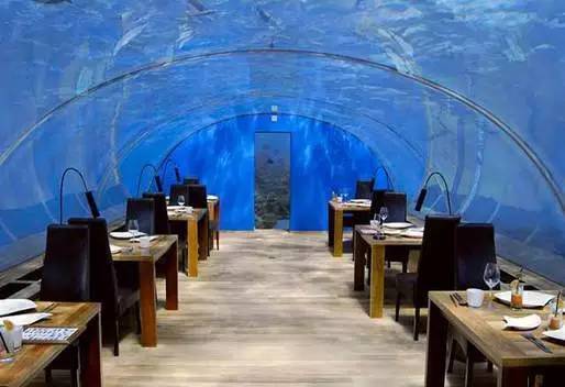 杭州极地海洋游玩图,杭州极地海洋世界旅游攻略