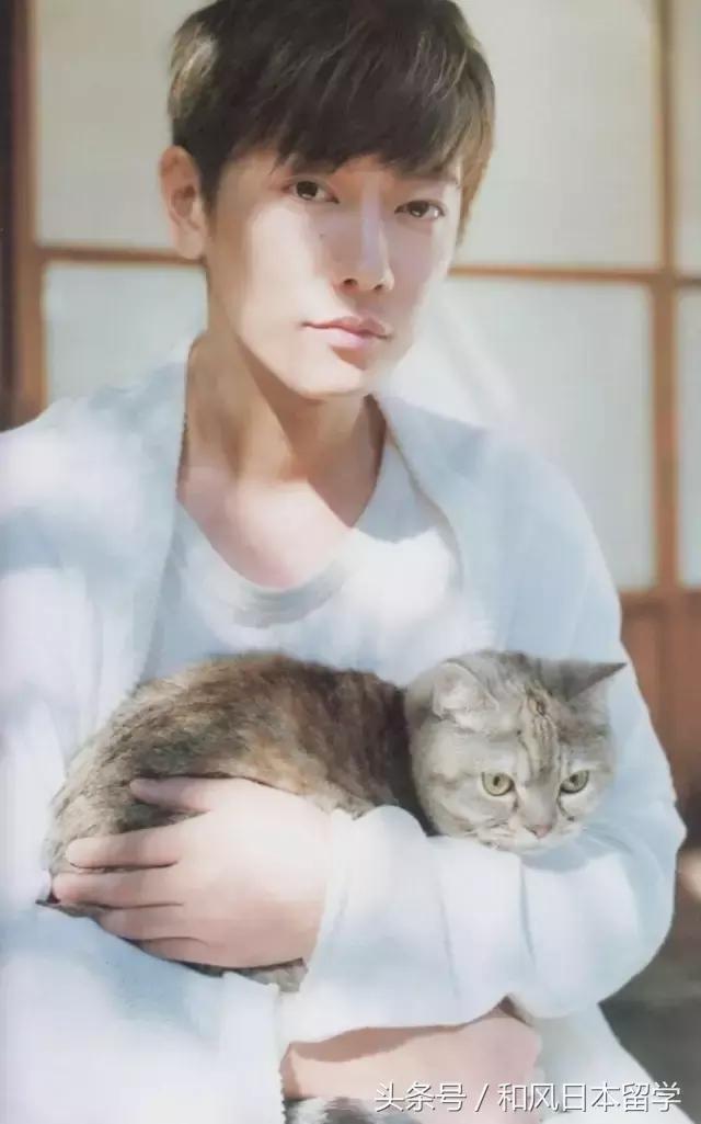 佐藤健颜值评价,佐藤健在日本颜值排名