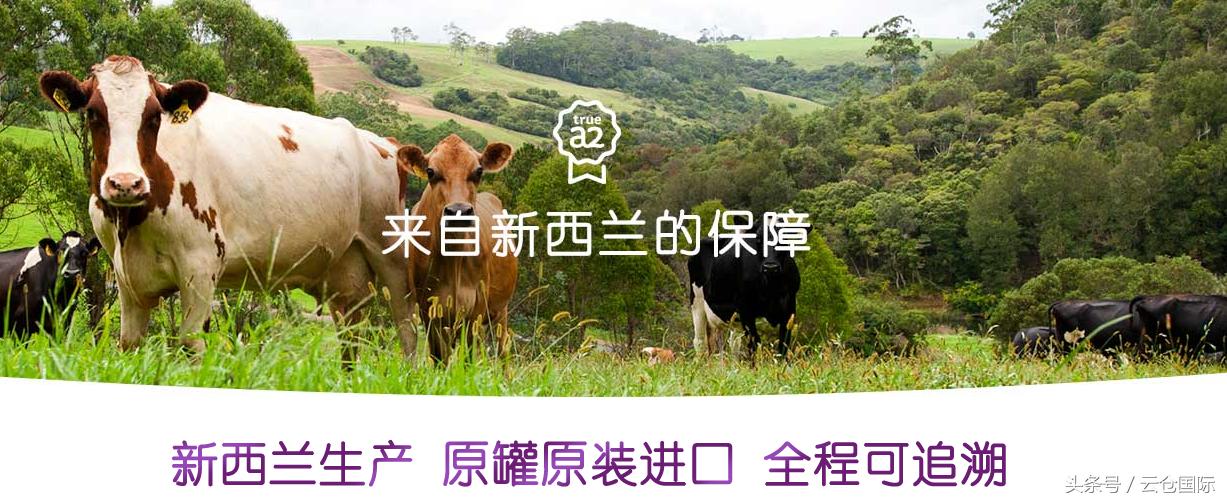 原创|全球奶粉品牌大起底,一秒教你辨真假(进口奶粉专题一)