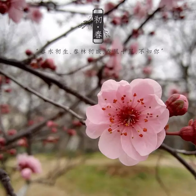 <html>
<head><title>502BadGateway</title></head>
<body>
<center><h1>502BadGateway</h1></center>
<hr><center>nginx</center>
</body>
</html>
<!--apaddingtodisableMSIEandChromefriendlyerrorpage-->
<!--apaddingtodisableMSIEandChromefriendlyerrorpage-->
<!--apaddingtodisableMSIEandChromefriendlyerrorpage-->
<!--apaddingtodisableMSIEandChromefriendlyerrorpage-->
<!--apaddingtodisableMSIEandChromefriendlyerrorpage-->
<!--apaddingtodisableMSIEandChromefriendlyerrorpage-->
