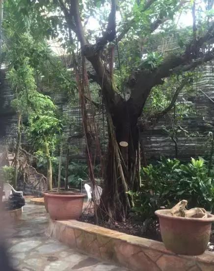 一起泡个温泉,温泉泡池冬天来一场暖暖温泉旅行