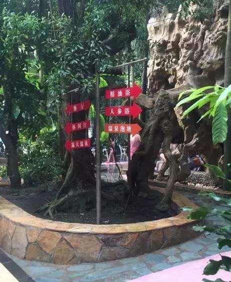 一起泡温泉的奢侈的享受,夏日一起泡温泉