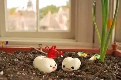 孩子天天刷牙竟然患龋齿怎么办,孩子每天都刷牙为什么还会有龋齿