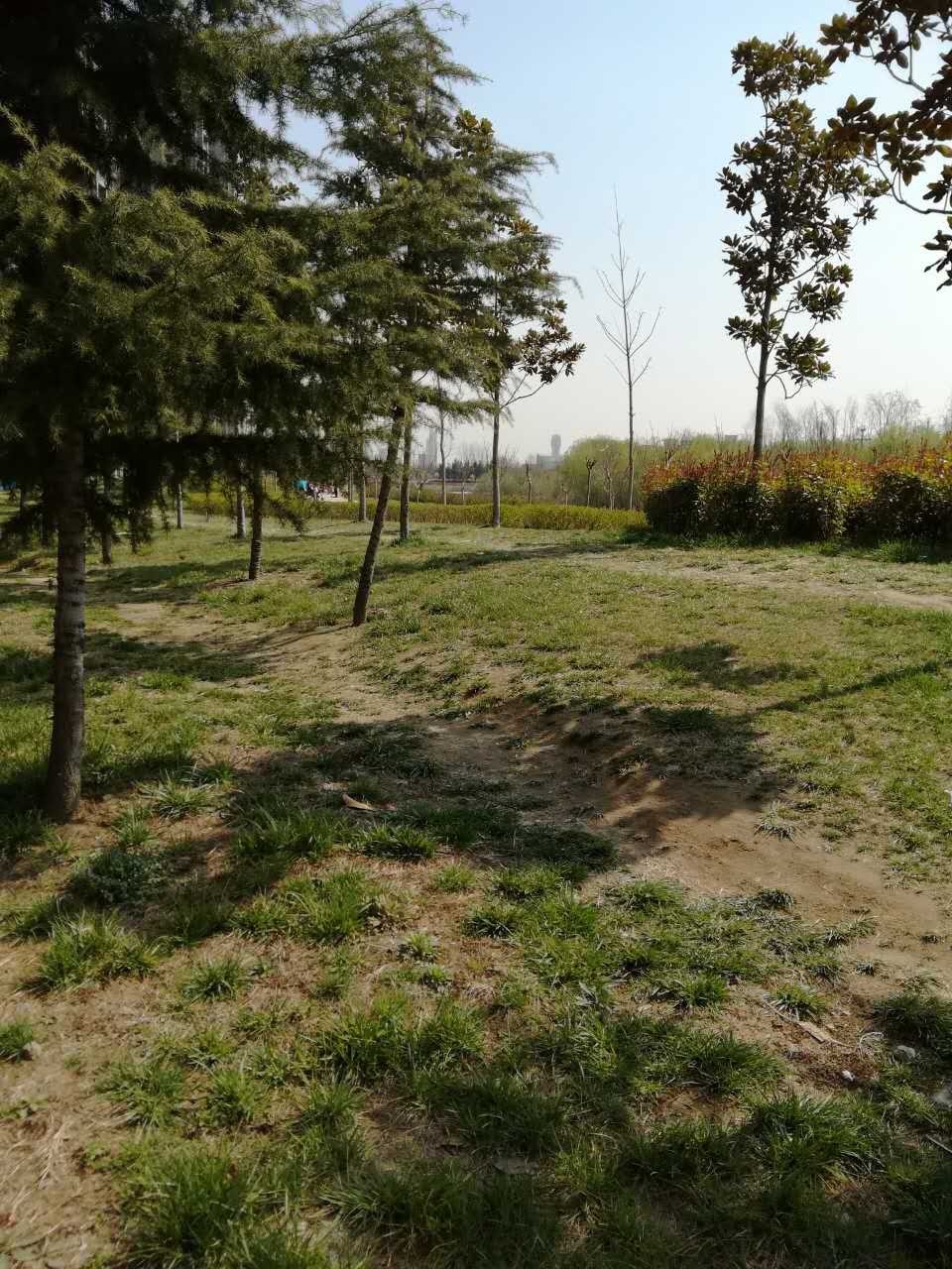 因为楼上噪音卖掉房子值得吗,因为噪音卖了好几套房子