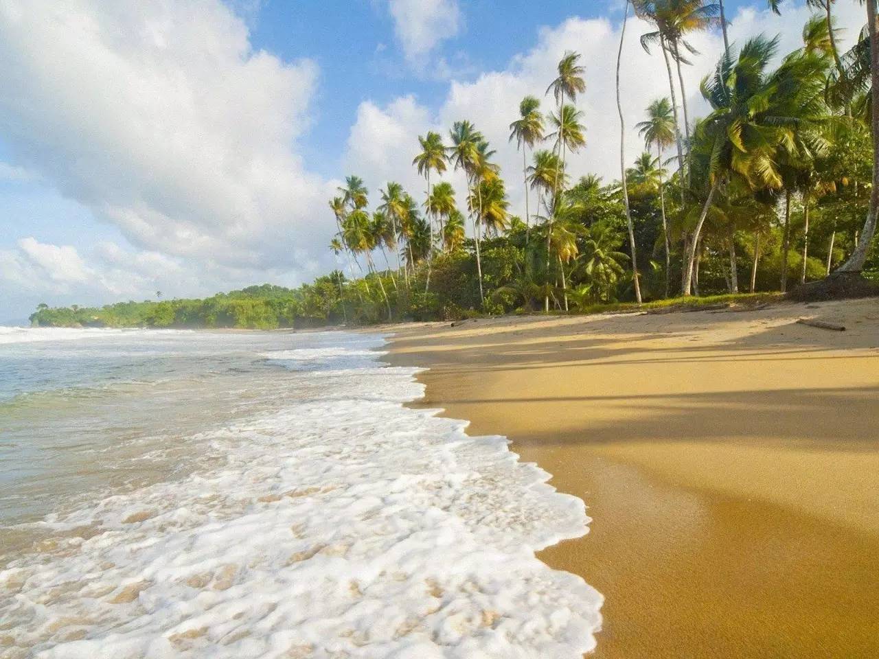 春天到了，姓夏的人会不会思念夏天呢？