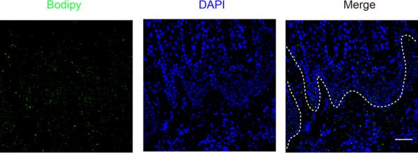 nature一周论文导读2020年8月20日,nature一周论文导读2020年6月18日