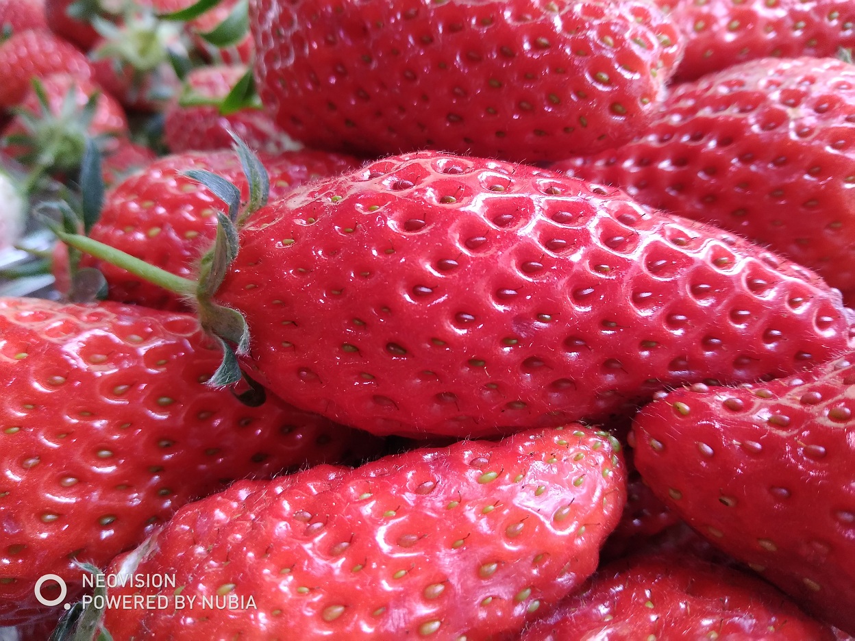 努比亚M2畅玩版测评,努比亚m2标准版拍照