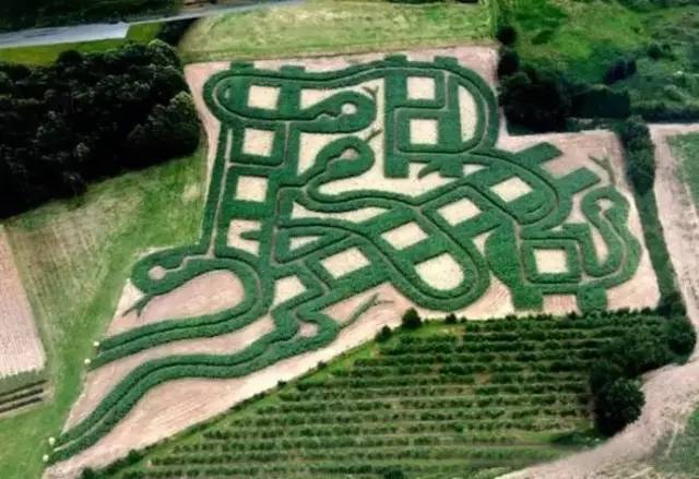 宁波好玩的迷宫,动心吗