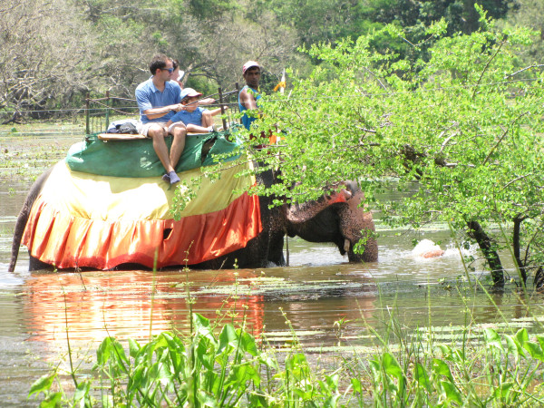 斯里兰卡旅游攻略是什么,斯里兰卡旅游攻略推荐亲子