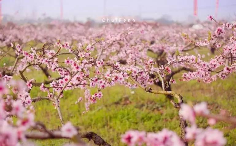 「诗词原创」闫鹏｜我辈当书胜绩激流犹待扬帆