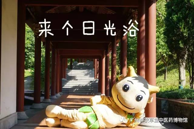 中药第一遍熬干了还用熬一遍吗,熬中药熬干了怎么办