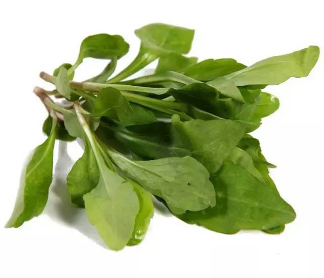 三月的味道，霞浦的野味正当时，给你的味蕾放个假