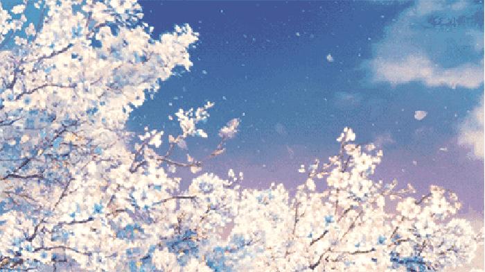 20件花开单品，做最美赏花人