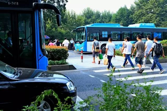 滨江到底是哪里,滨江是一条江吗