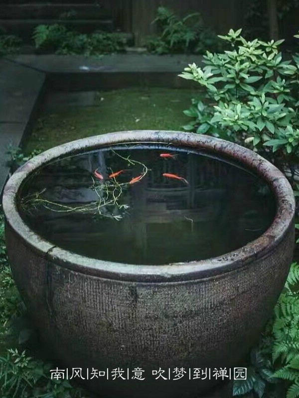 沈从文时间经典语录,沈从文时间