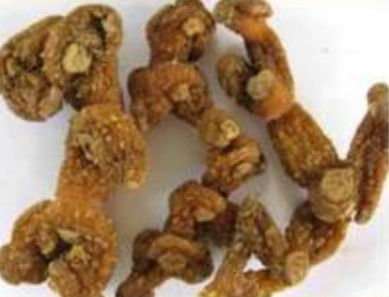 降三高减肥吃什么药,降三高消斑块中药配方