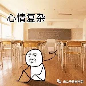 最致命的病菌有哪些,世界上最危险的病菌