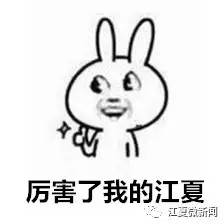 武汉市江夏区区长王清华公示,江夏区王清华考察