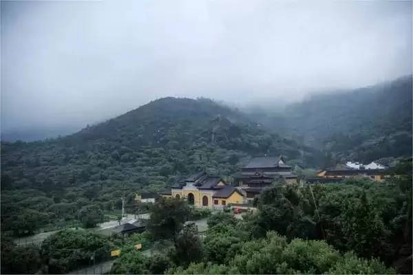 树山只差一个你丨梨花年年开,好玩的却不同