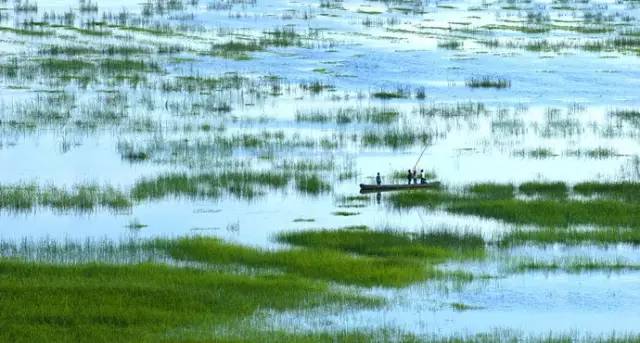 贵州旅游推荐2-3天游免费景区,贵州旅游5折优惠有哪些景点