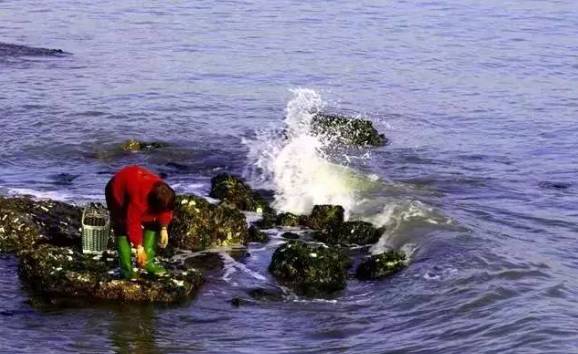 威海赶海攻略,威海冬季赶海攻略