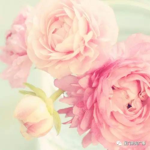 颜值+好春+丽诗，这该会是怎样动人动心的电波之旅！