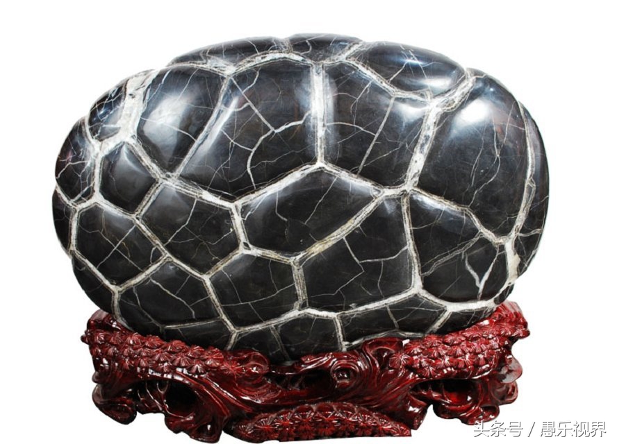 湖南常见岩石标本,像乌龟一样的石头值钱吗