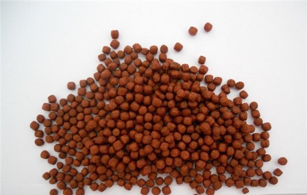 罗汉鱼起头鱼粮,新手养罗汉鱼如何选鱼