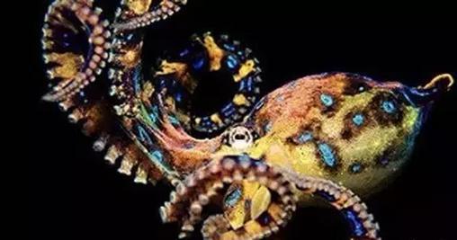 这些东西比鬼还可怕，而且任何人都有可能遇到！