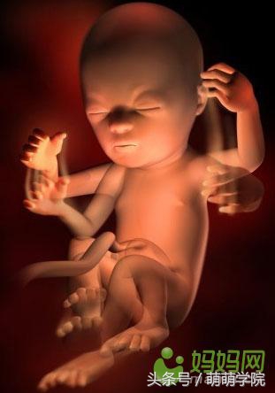 胎儿发育40周全过程b超影像,胎儿1-40周发育过程图高清