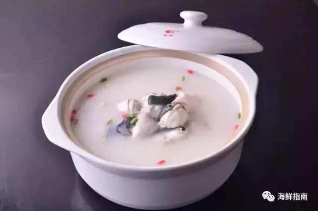 又到吃河鲀的时候了！河鲀起春岸，诱惑正当时