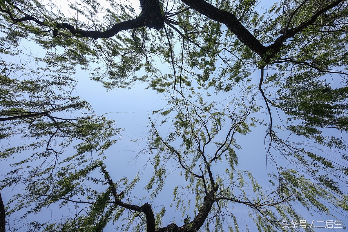 500g硬盘可以储存多少照片,机械硬盘500g能存多少张相片