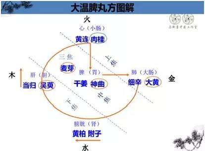 马新童中医多大岁数,中医马新童医术怎么样
