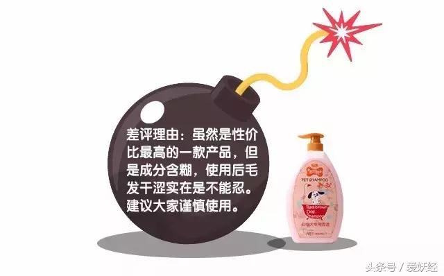 爱妖经｜“网红”还不够，更要实力派