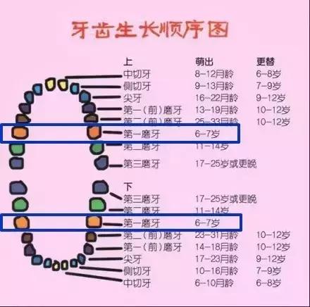儿童7龄牙龋坏的最佳处理方案,7岁女孩牙齿都是坏的怎么办