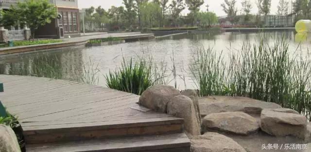 免费公园南京,南京十大公园排行榜