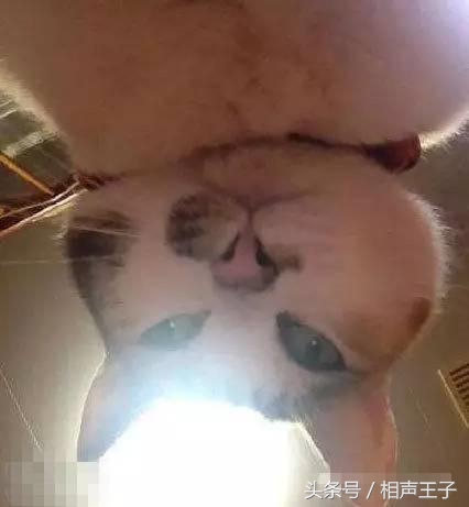 姑娘,别再抬脚了,整个车厢都弥漫着你臭袜子的味道