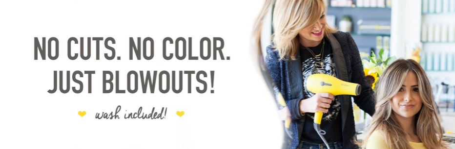 美发界的星巴克,美国美发界星巴克