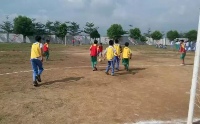 肇庆市足球特色学校有哪些,肇庆市有哪些体育学校