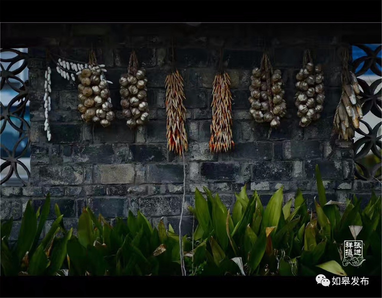 定了!从今天起,如皋白蒲古镇将列入每个人的旅行清单!