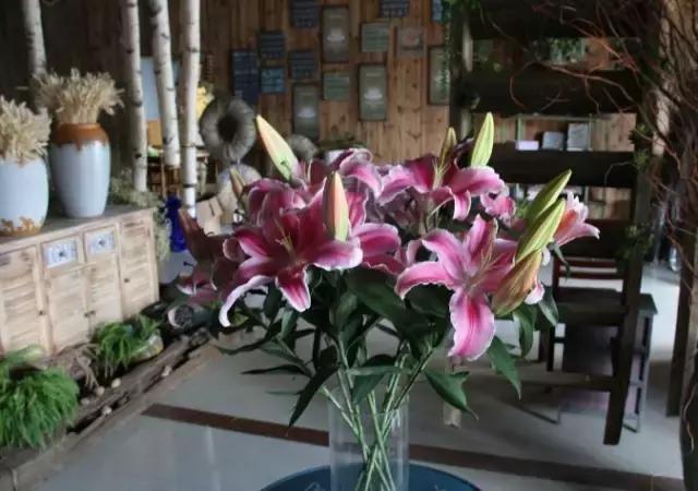 花店行业市场行情状况,开花店如何去看行业趋势