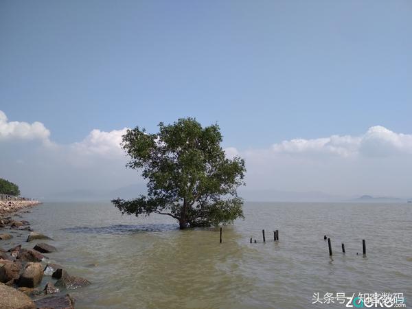 红米4x好不好用,红米4x是最新版的吗