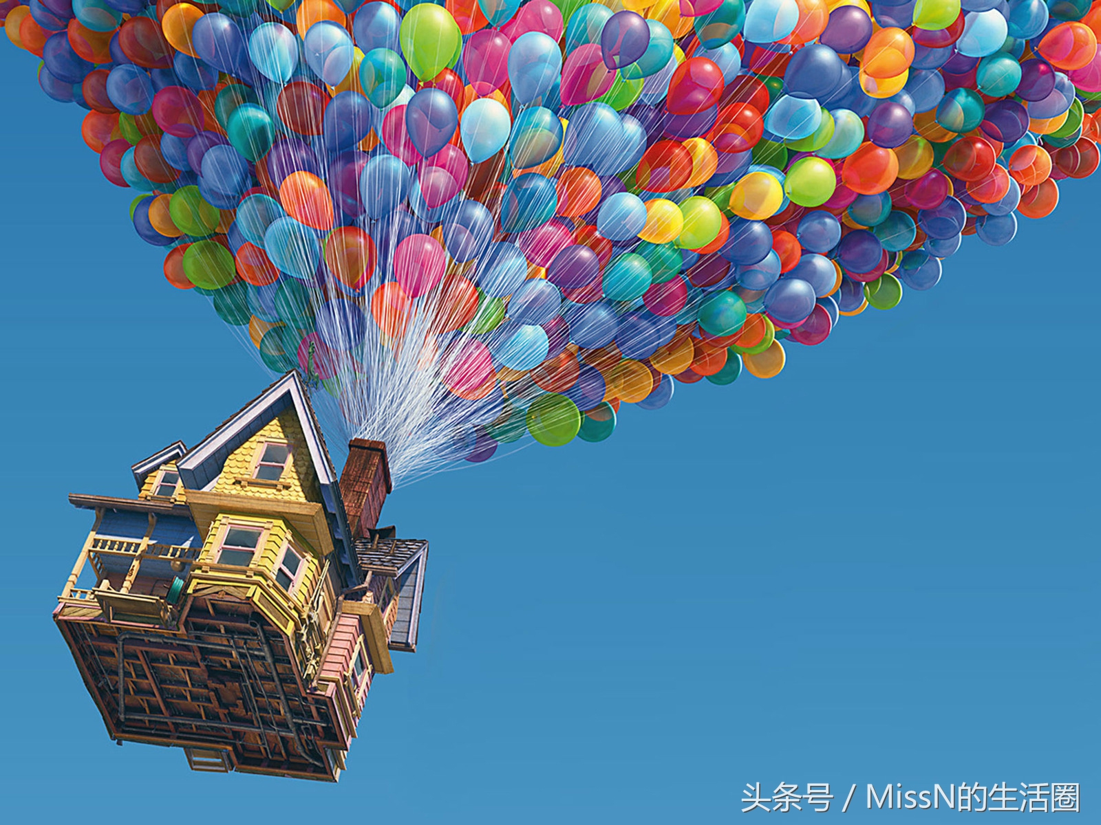 永远不要嘲笑别人的梦想，我们每个人都有更多的可能性