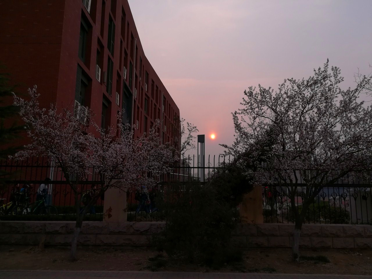 华为青春版荣耀8测评,我的地盘我做主718