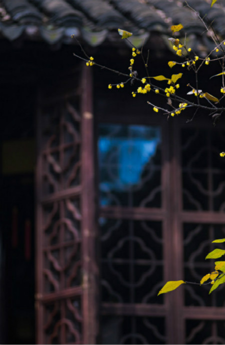 初中生必背古诗词最全整理,初中生必背古诗词大全集